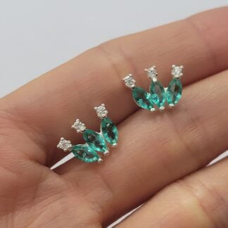 CARAVANA LEQUE 6 BARCOS