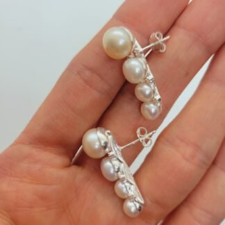 Caravanas Trepadoras Perla Biwa