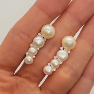 Caravanas Trepadoras Perla Biwa