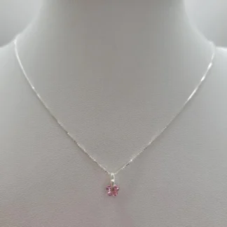 CADENA + DIJE PLATA 925 45cm J02S095